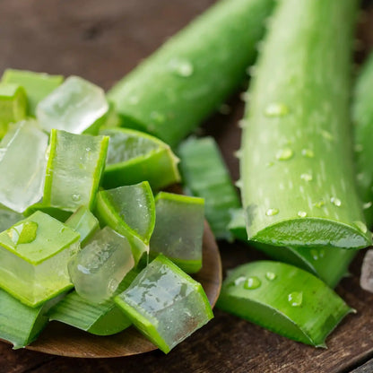 Parfum pour bougies Aloe vera