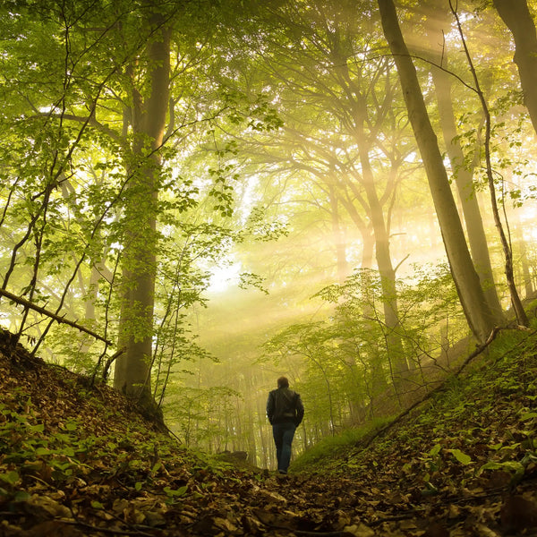 Parfum pour bougies Balade en forêt