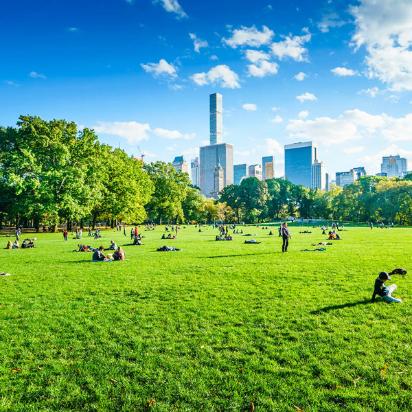 Parfum pour bougies Central park