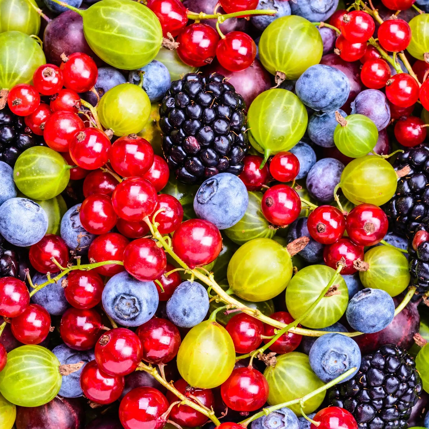 Parfum pour bougies Fruits sauvages