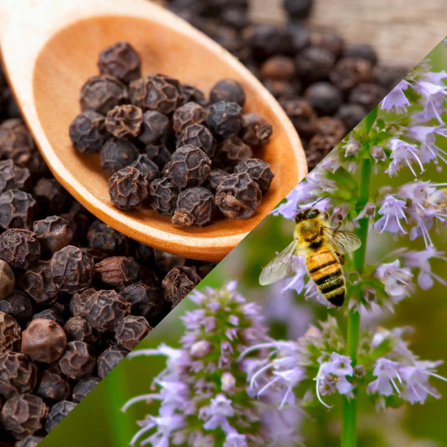 Parfum pour bougies Patchouli poivré