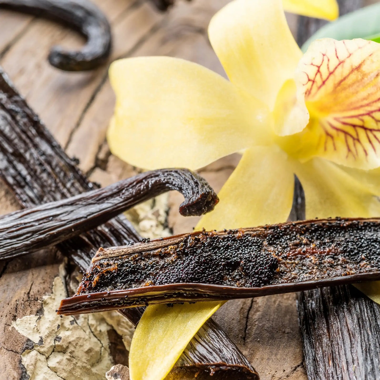 Parfum pour bougies Vanille des îles