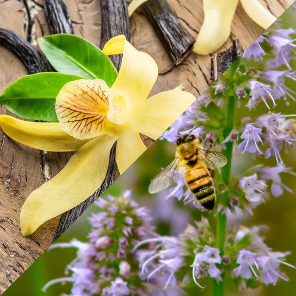 Parfum pour bougies Vanille et patchouli