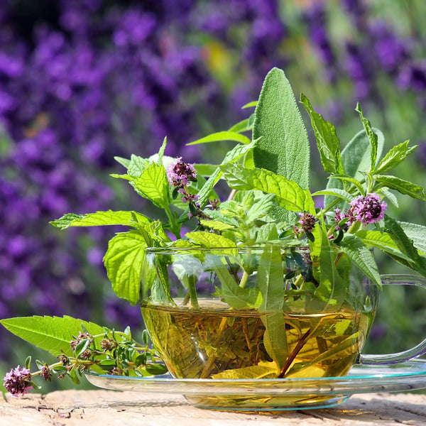 Parfum pour bougies Verveine et menthe poivrée