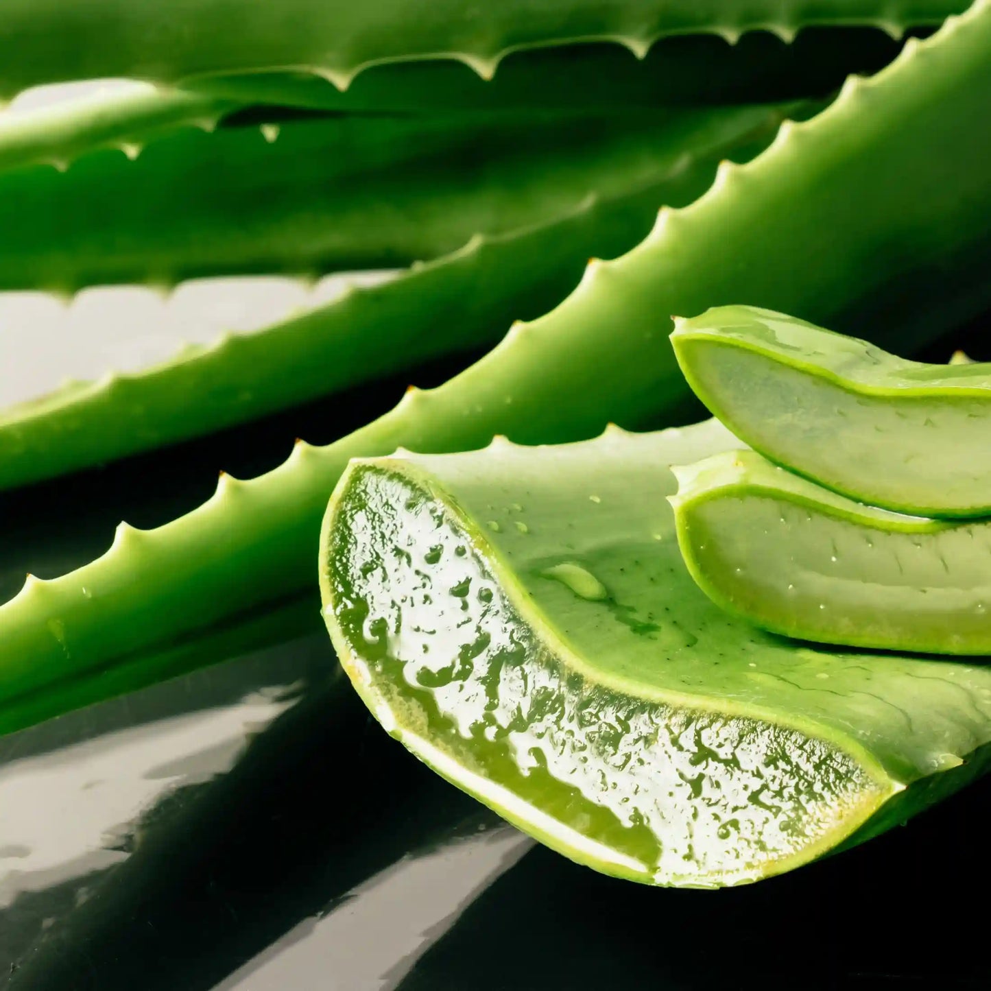 Parfum pour savons liquides Aloe vera